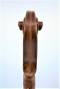 VN0439-SCROLL-2-WEB (2)